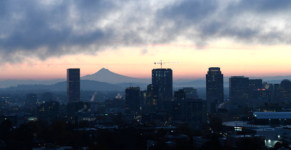 PDX Skyline Views